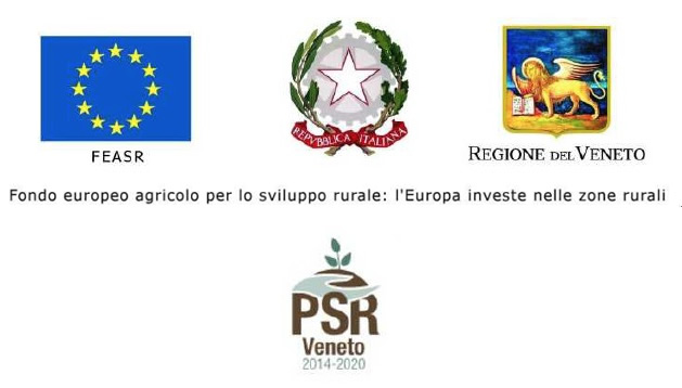 Loghi fondo europeo agricolo per lo sviluppo rurale